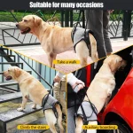 Dog Lift Harness for Large Dogs Soft Padded - Image 4